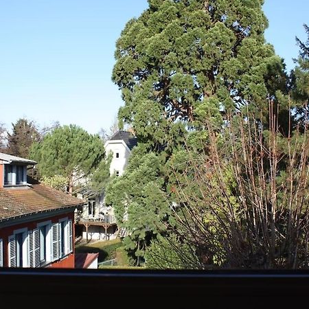 Superb Apt- Garden- 3 Parkings, Near Petite Venise ! กอลมาร์ ภายนอก รูปภาพ