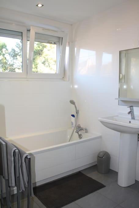 Superb Apt- Garden- 3 Parkings, Near Petite Venise ! กอลมาร์ ภายนอก รูปภาพ