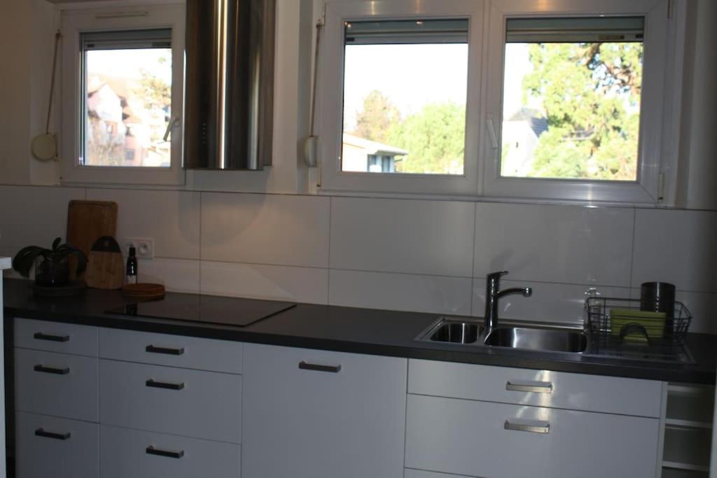 Superb Apt- Garden- 3 Parkings, Near Petite Venise ! กอลมาร์ ภายนอก รูปภาพ