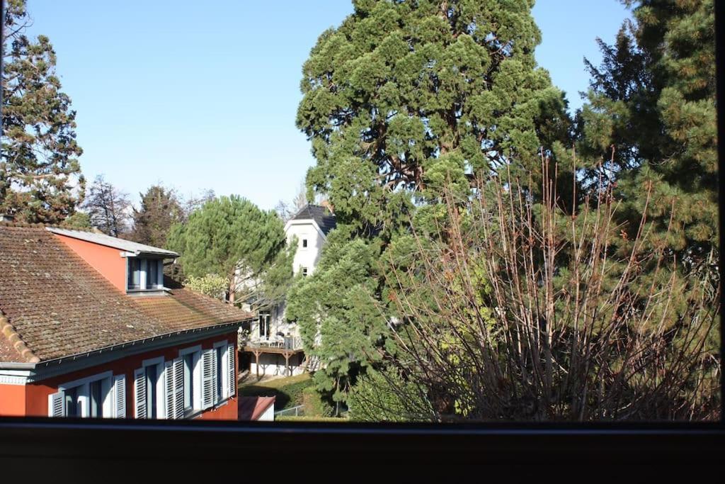 Superb Apt- Garden- 3 Parkings, Near Petite Venise ! กอลมาร์ ภายนอก รูปภาพ