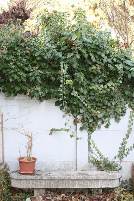Superb Apt- Garden- 3 Parkings, Near Petite Venise ! กอลมาร์ ภายนอก รูปภาพ
