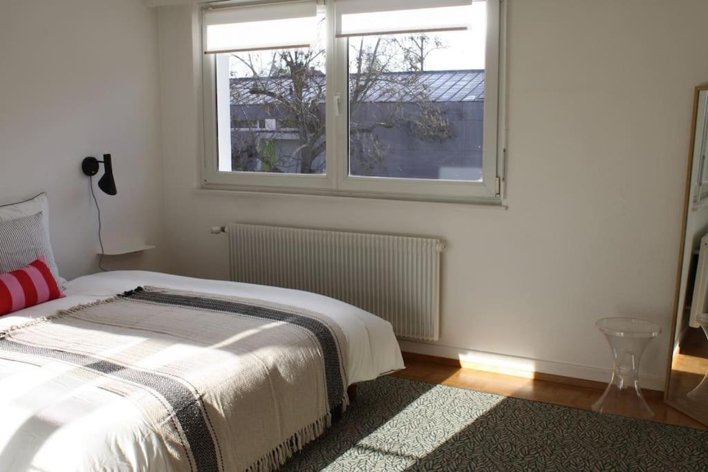 Superb Apt- Garden- 3 Parkings, Near Petite Venise ! กอลมาร์ ภายนอก รูปภาพ